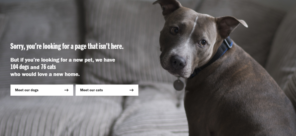 Battersea Dogs & Cats Home 404 error page