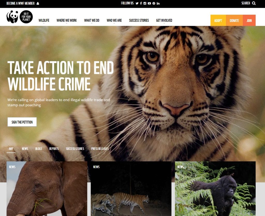 WWF charity web design homepage