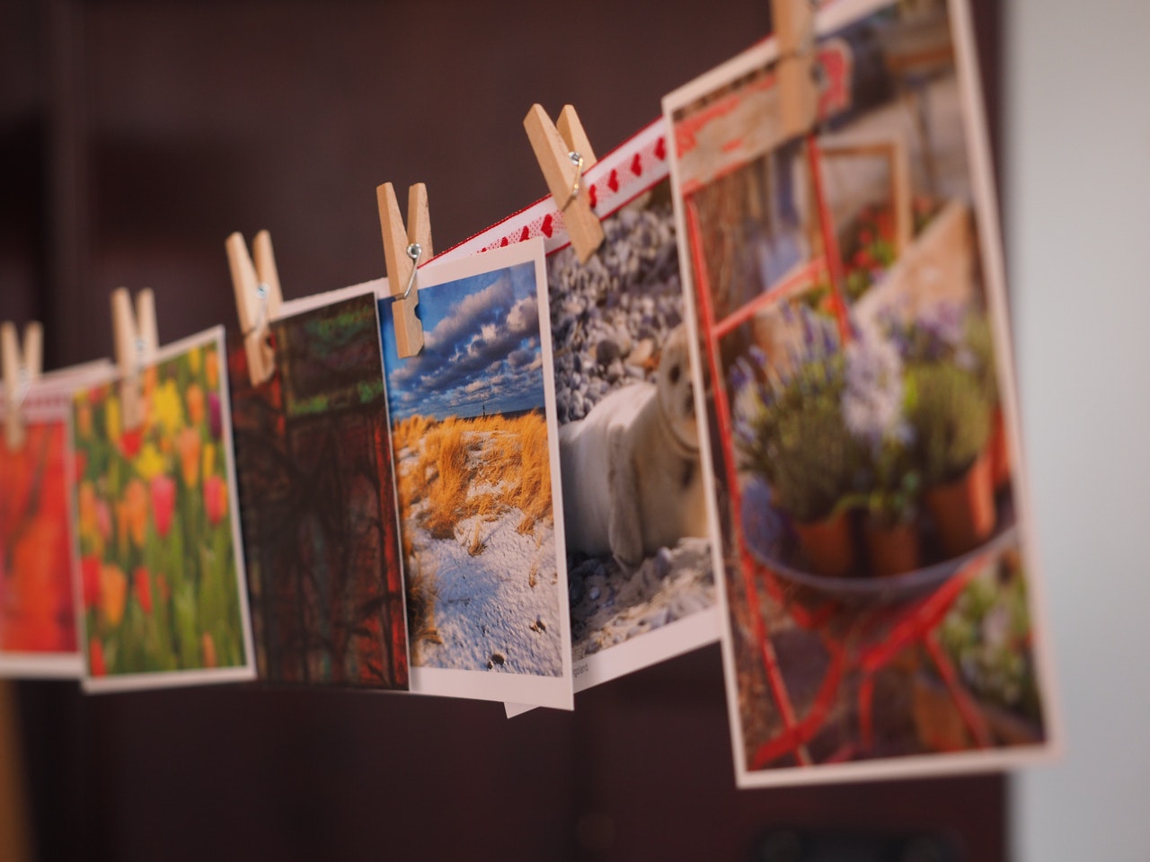 Set of photos pegged to a clothes line