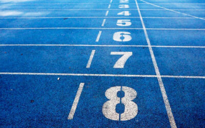 How does Drupal compare to WordPress?